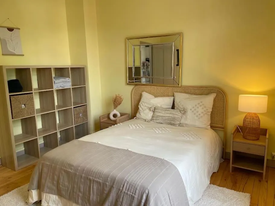 Coeur De Toulouse, Appartement Paisible Et Charmant Apartment Toulouse