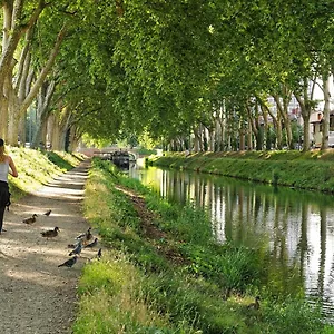 Bayard - Centre-ville - Gare - Confortable Apartment