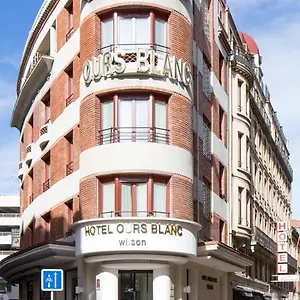 Ours Blanc - Wilson Toulouse